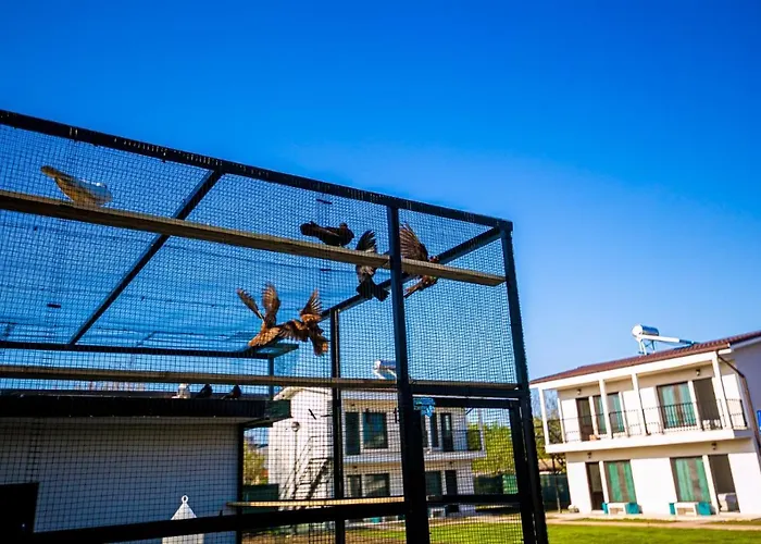 Complex Turistic N&s Pensiune